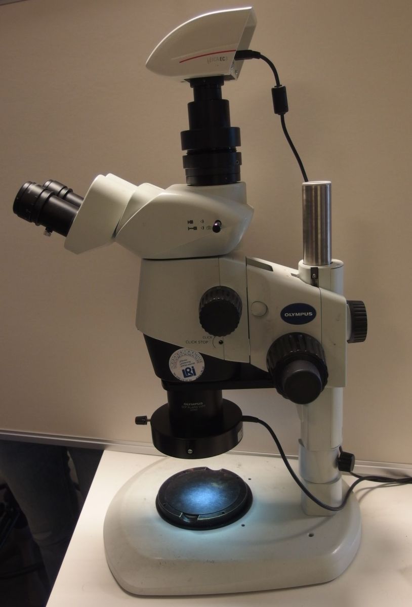 Stereo light optical microscope – Olympus SZX16